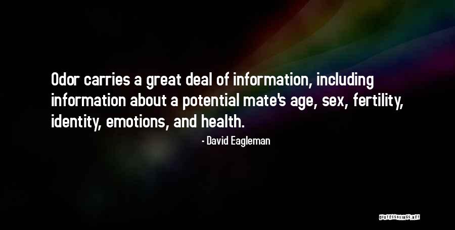 Information Age Quotes By David Eagleman