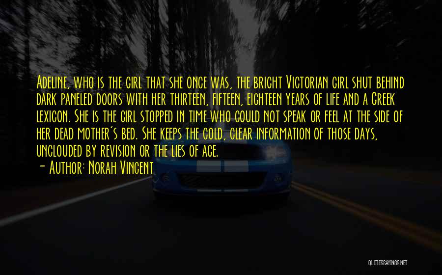 Information Age Quotes By Norah Vincent