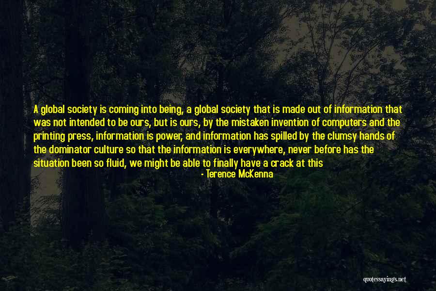 Information And Power Quotes By Terence McKenna Information And Power Quotes By Terence McKenna