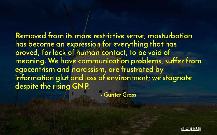 Information Glut Quotes By Gunter Grass Information Glut Quotes By Gunter Grass