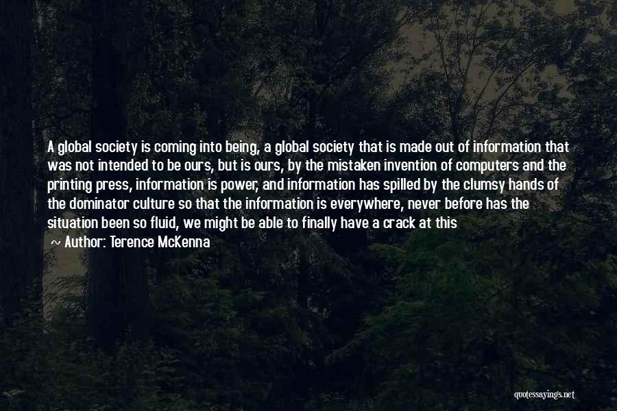 Information Is Power Quotes By Terence McKenna