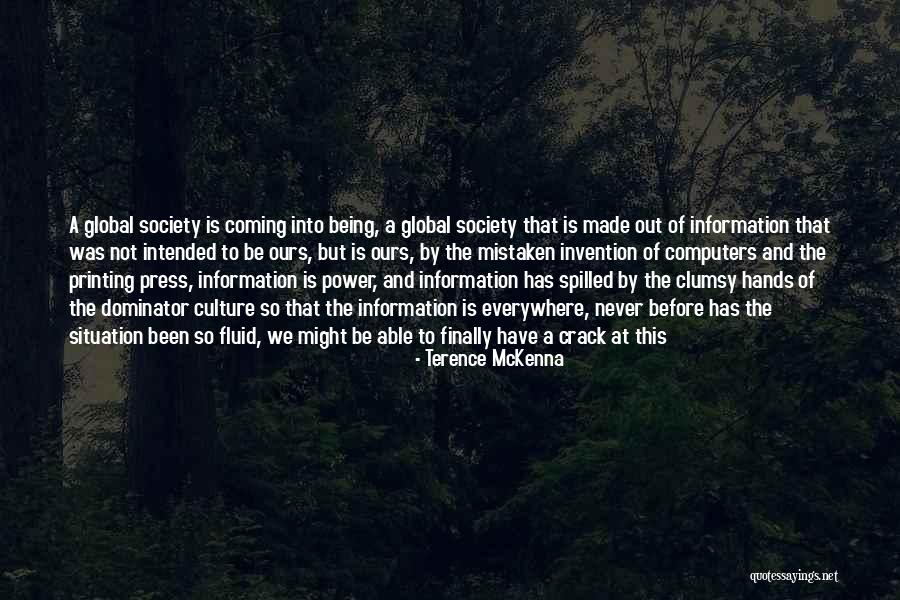 Information Is Power Quotes By Terence McKenna