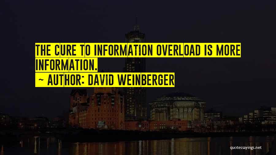 Information Overload Quotes By David Weinberger