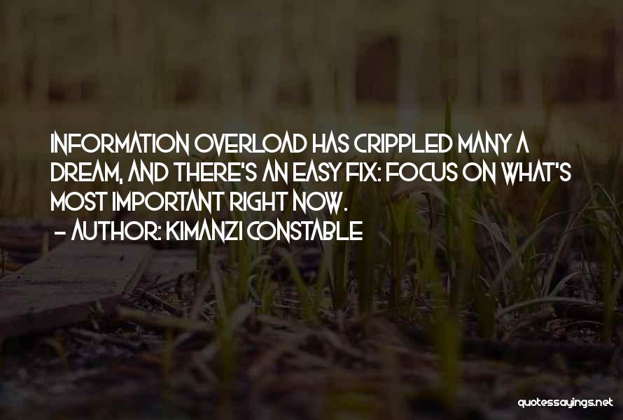 Information Overload Quotes By Kimanzi Constable