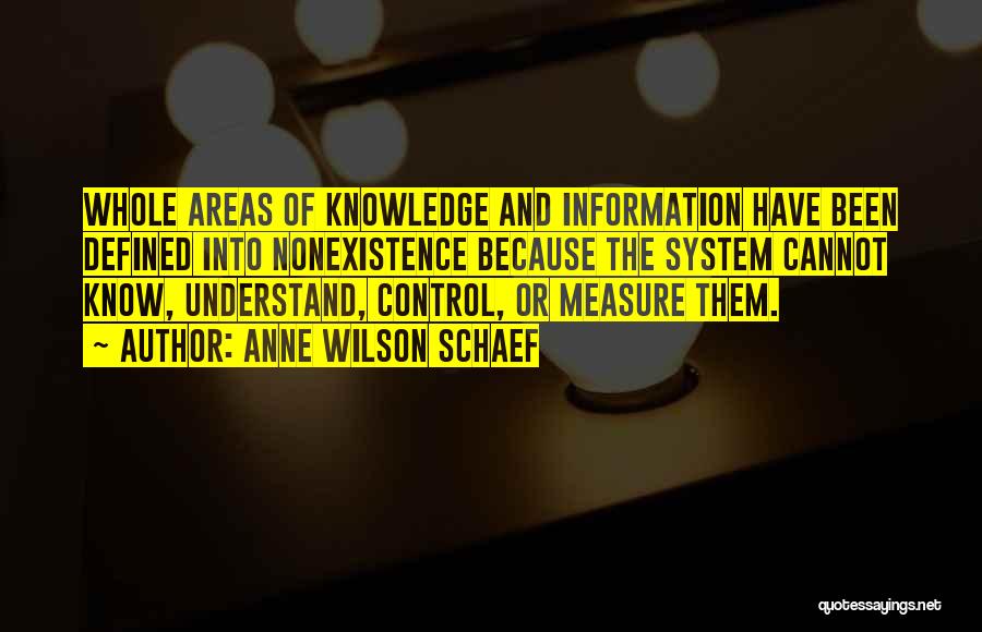 Information System Quotes By Anne Wilson Schaef