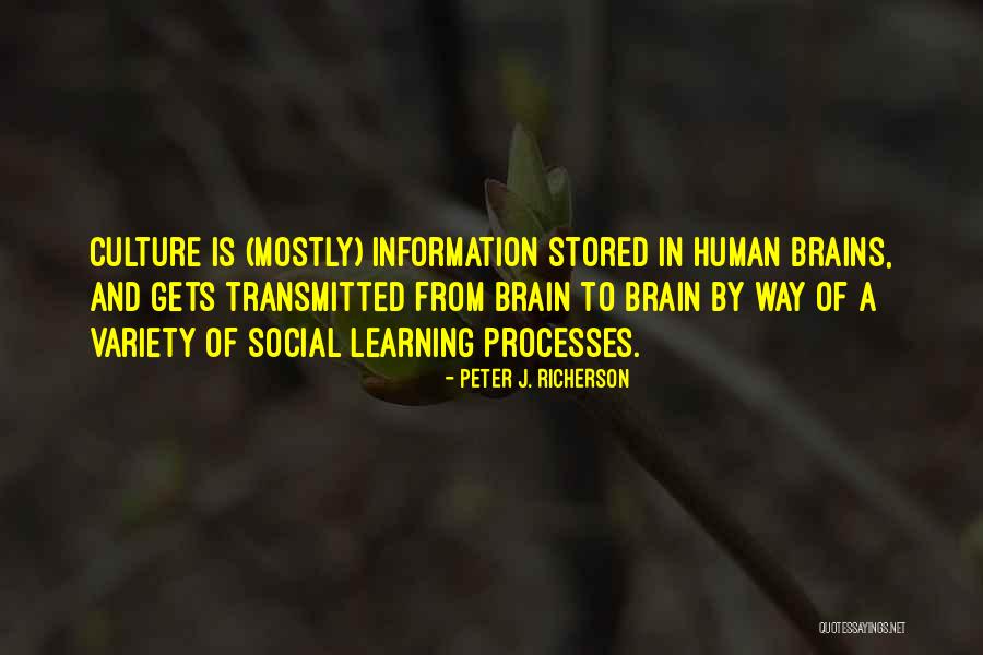 Information That Is Stored Quotes By Peter J. Richerson Information That Is Stored Quotes By Peter J. Richerson