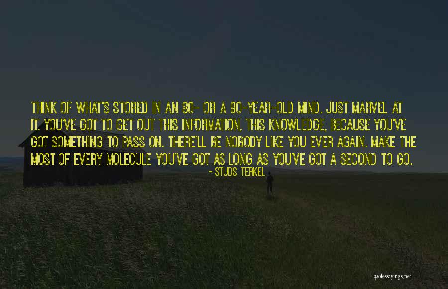 Information That Is Stored Quotes By Studs Terkel Information That Is Stored Quotes By Studs Terkel