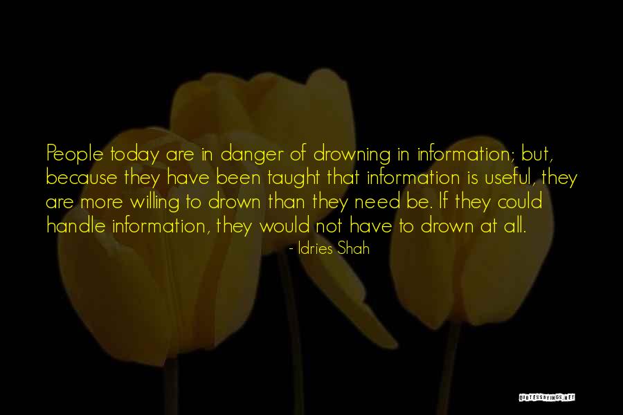 Information That Would Have Been Useful Quotes By Idries Shah Information That Would Have Been Useful Quotes By Idries Shah