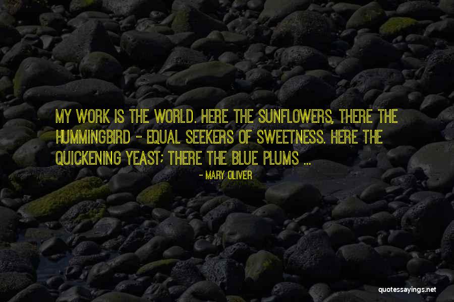 Infractores Padron Quotes By Mary Oliver Infractores Padron Quotes By Mary Oliver