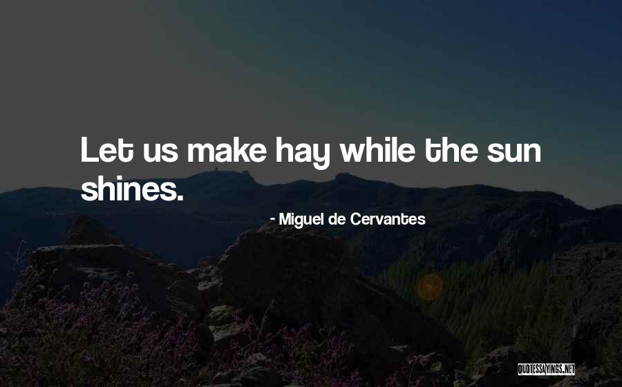 Infractores Padron Quotes By Miguel De Cervantes Infractores Padron Quotes By Miguel De Cervantes