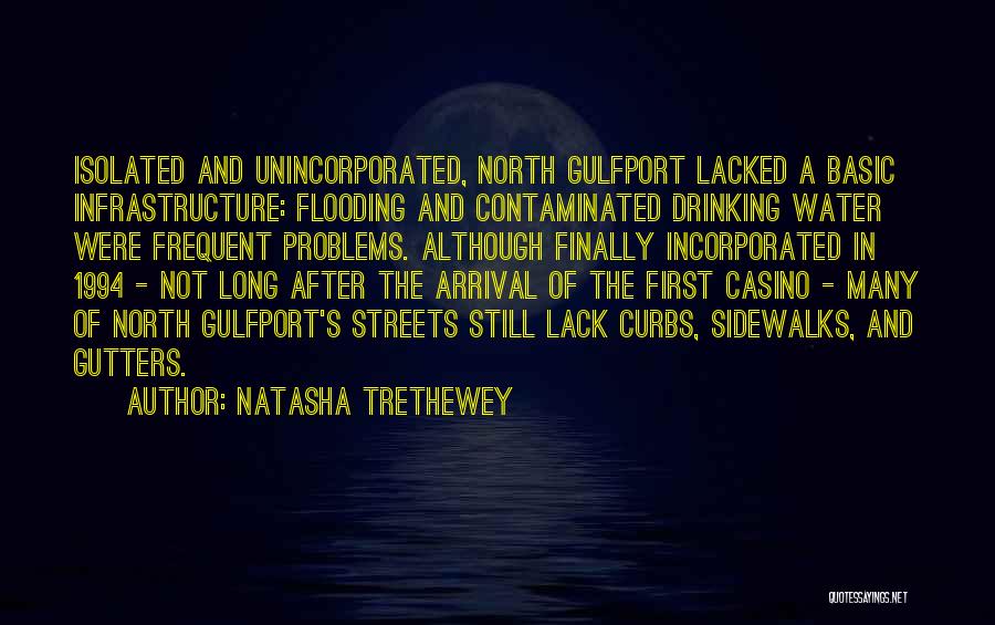 Infrastructure Problems Quotes By Natasha Trethewey