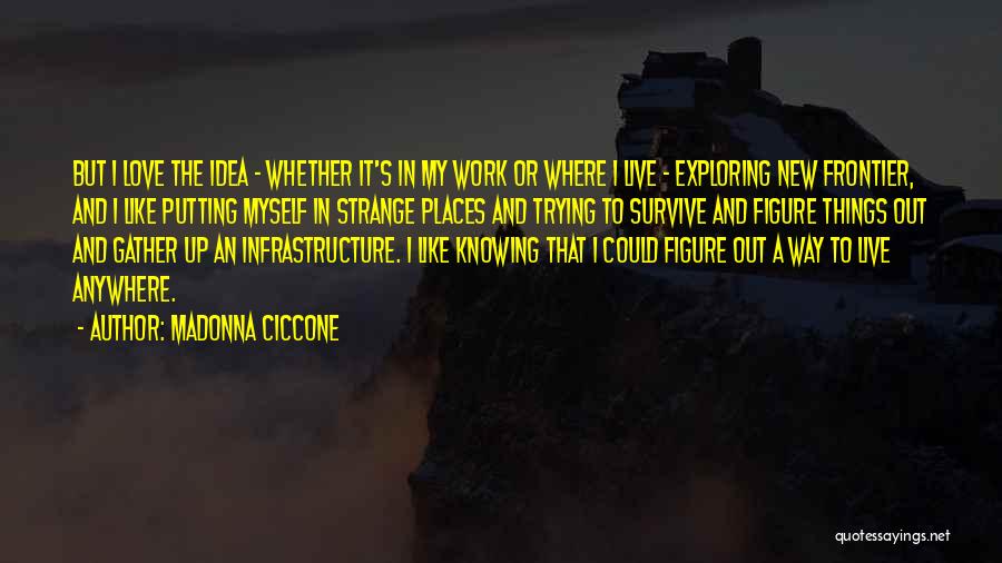 Infrastructure Quotes By Madonna Ciccone