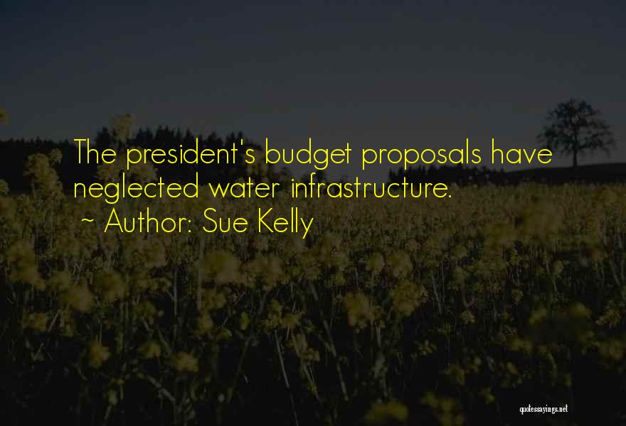 Infrastructure Quotes By Sue Kelly
