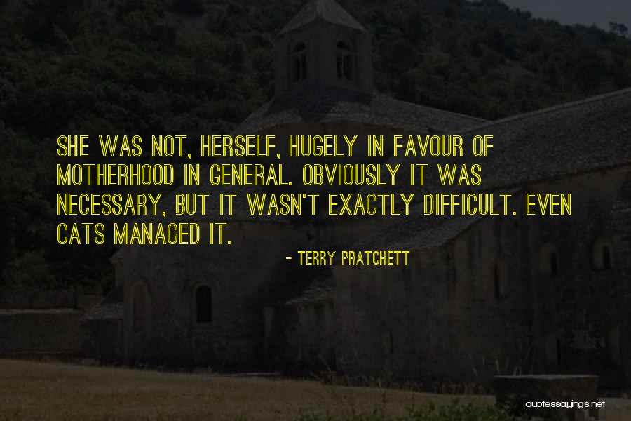 Infundados Quotes By Terry Pratchett