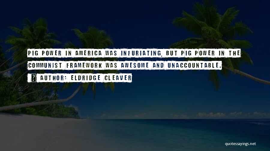 Infuriating Quotes By Eldridge Cleaver