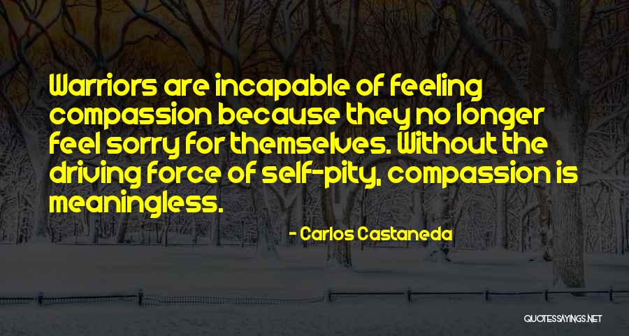 Infuses With Bubbles Quotes By Carlos Castaneda Infuses With Bubbles Quotes By Carlos Castaneda