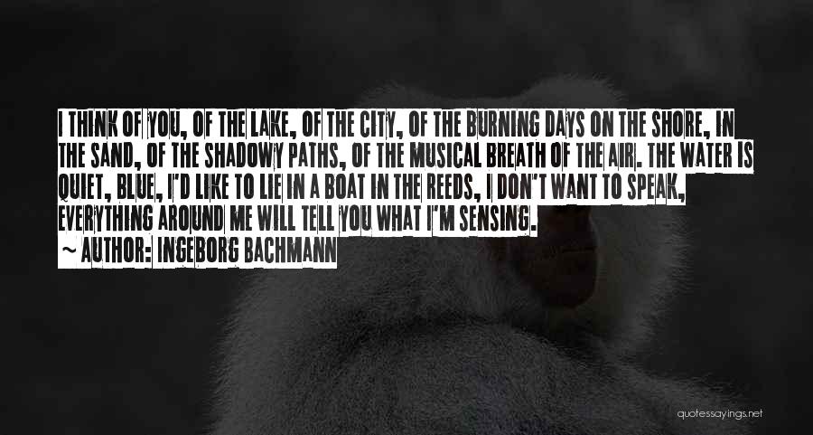 Ingeborg Bachmann Quotes 2204165