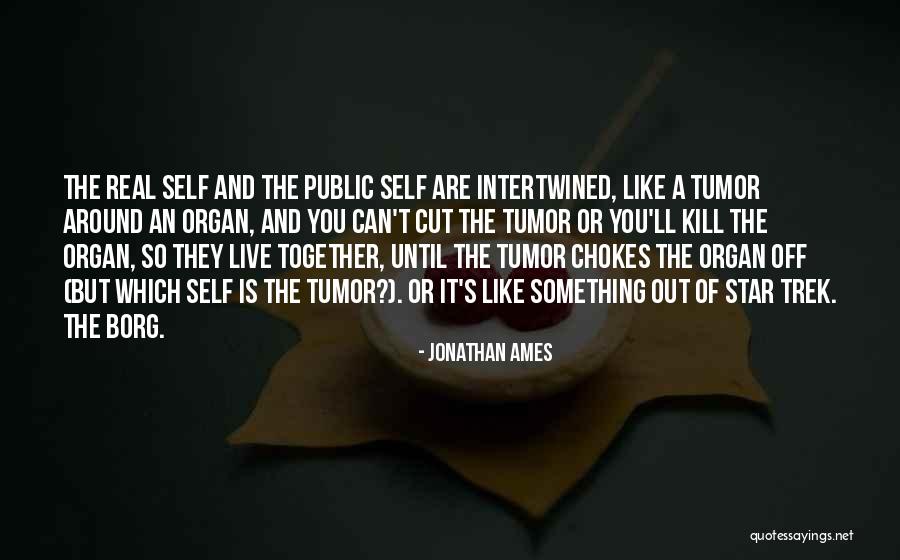 Ingeborga Dapk Quotes By Jonathan Ames Ingeborga Dapk Quotes By Jonathan Ames