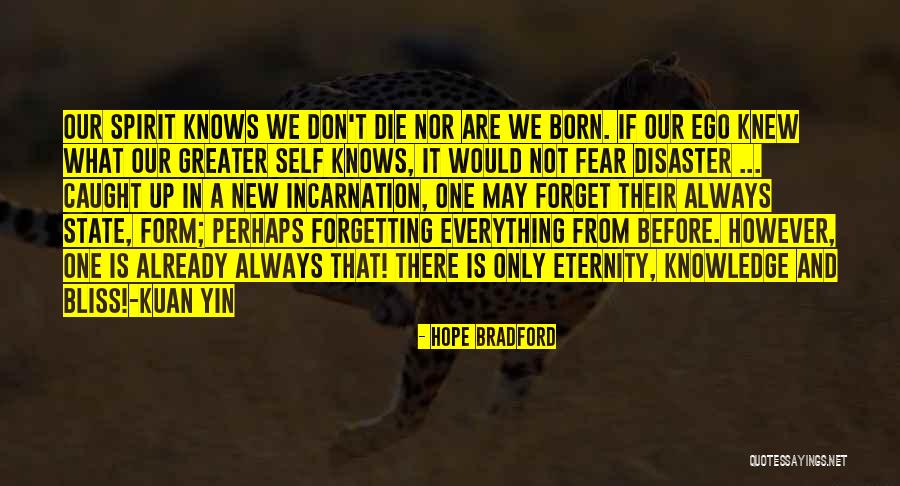 Ingenieursbureau Quotes By Hope Bradford Ingenieursbureau Quotes By Hope Bradford