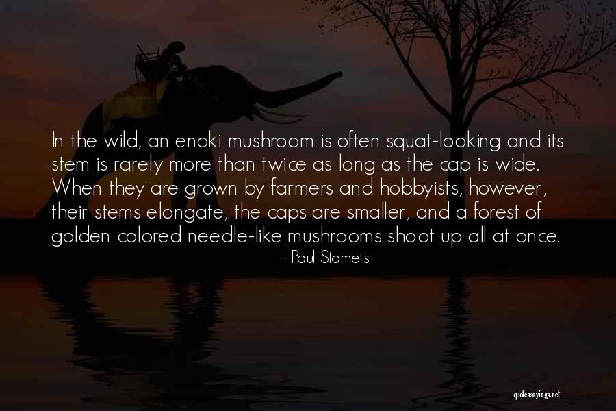 Ingenious Day Quotes By Paul Stamets Ingenious Day Quotes By Paul Stamets