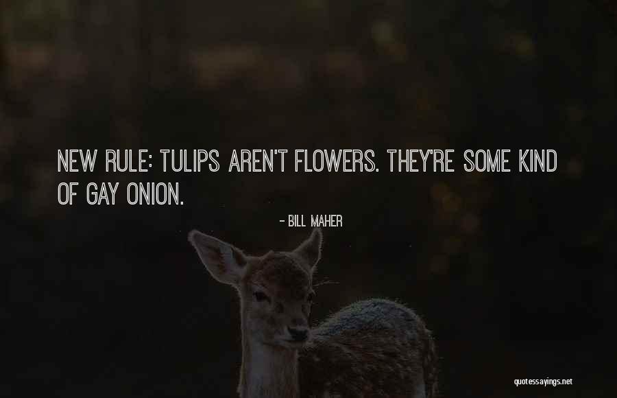 Ingerslev Antik Quotes By Bill Maher Ingerslev Antik Quotes By Bill Maher