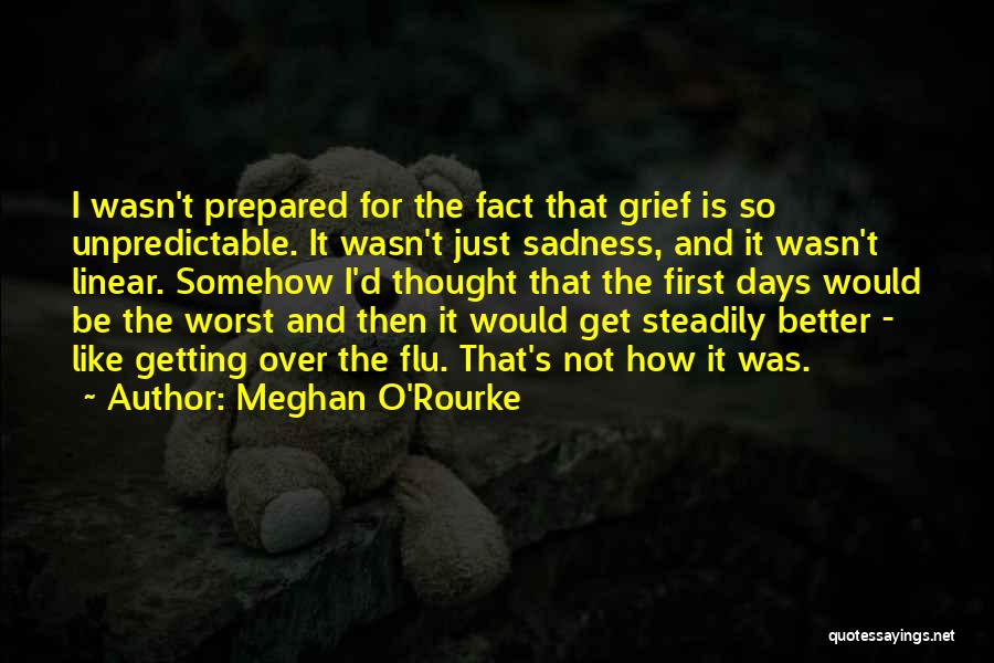 Inghams Quotes By Meghan O'Rourke