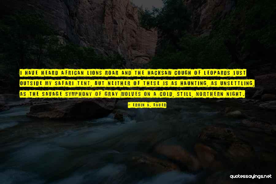 Ingjerd Blekeli Quotes By Erwin A. Bauer Ingjerd Blekeli Quotes By Erwin A. Bauer