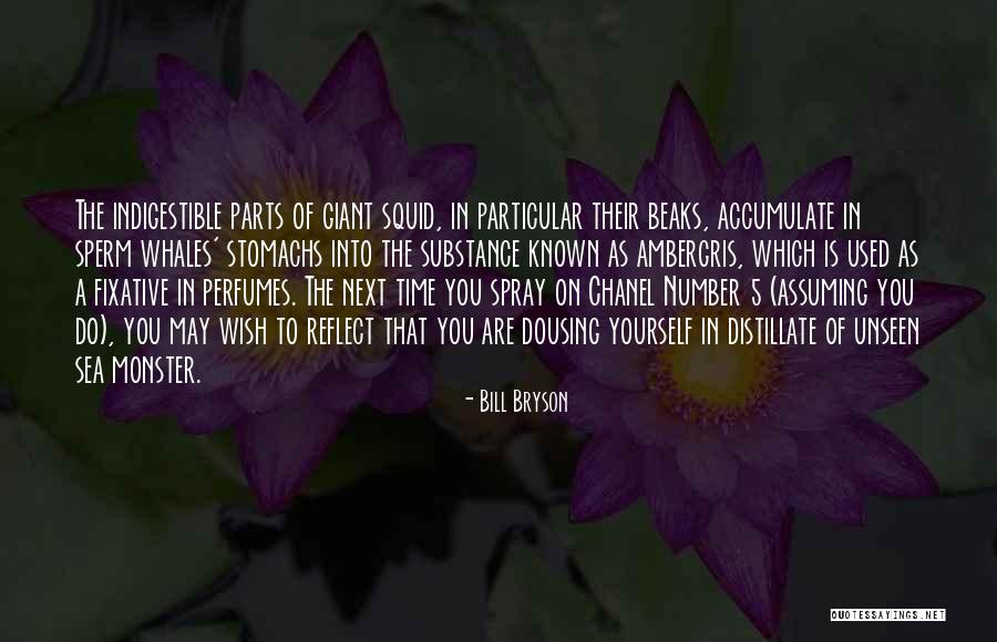 Ingleses Dirigem Quotes By Bill Bryson Ingleses Dirigem Quotes By Bill Bryson