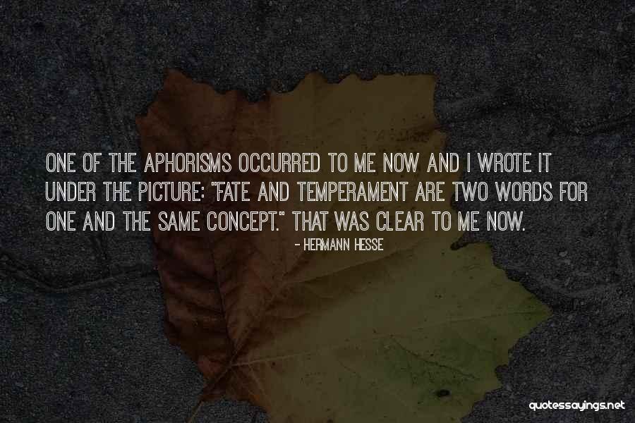 Ingo Quotes By Hermann Hesse Ingo Quotes By Hermann Hesse