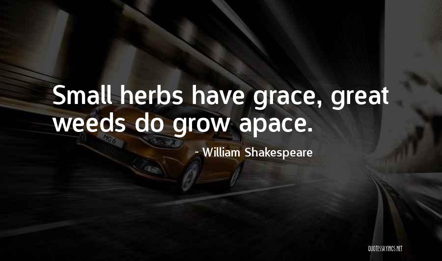 Ingoglia Settlement Quotes By William Shakespeare Ingoglia Settlement Quotes By William Shakespeare