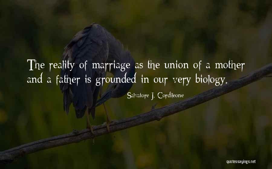 Ingrained Vs Engrained Quotes By Salvatore J. Cordileone Ingrained Vs Engrained Quotes By Salvatore J. Cordileone