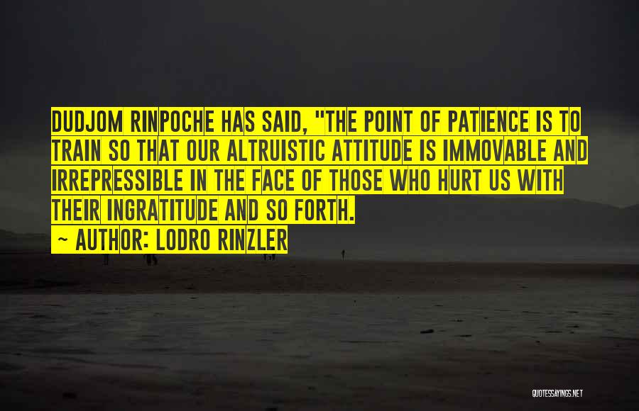 Ingratitude Quotes By Lodro Rinzler