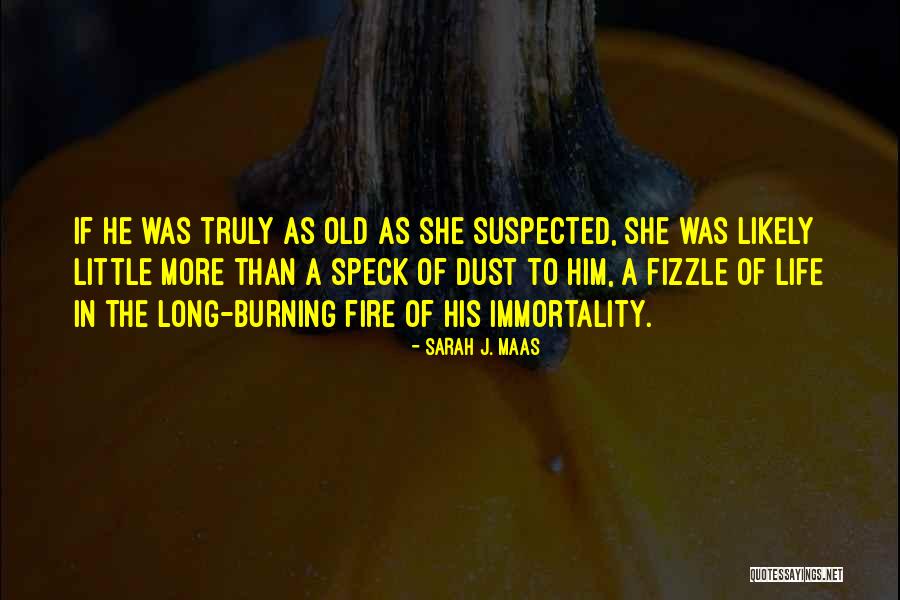 Ingridan Quotes By Sarah J. Maas Ingridan Quotes By Sarah J. Maas