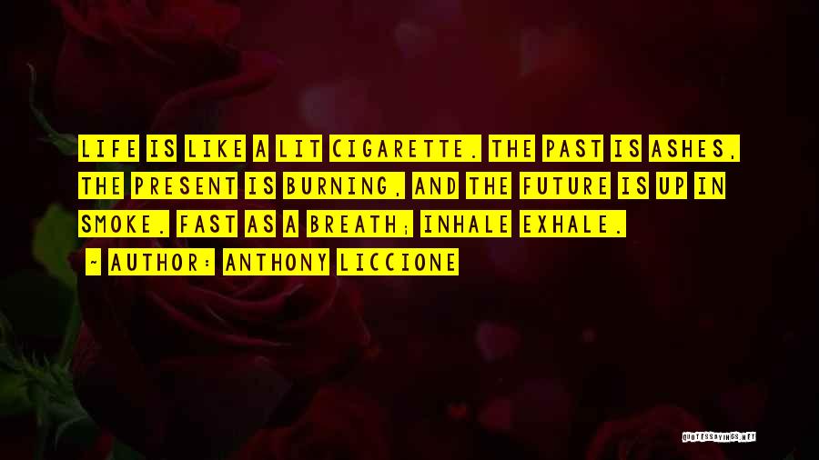 Inhale Smoke Quotes By Anthony Liccione