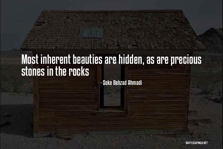 Inherent Value Quotes By Soke Behzad Ahmadi Inherent Value Quotes By Soke Behzad Ahmadi