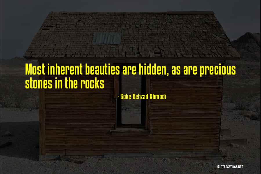 Inherent Worth Quotes By Soke Behzad Ahmadi