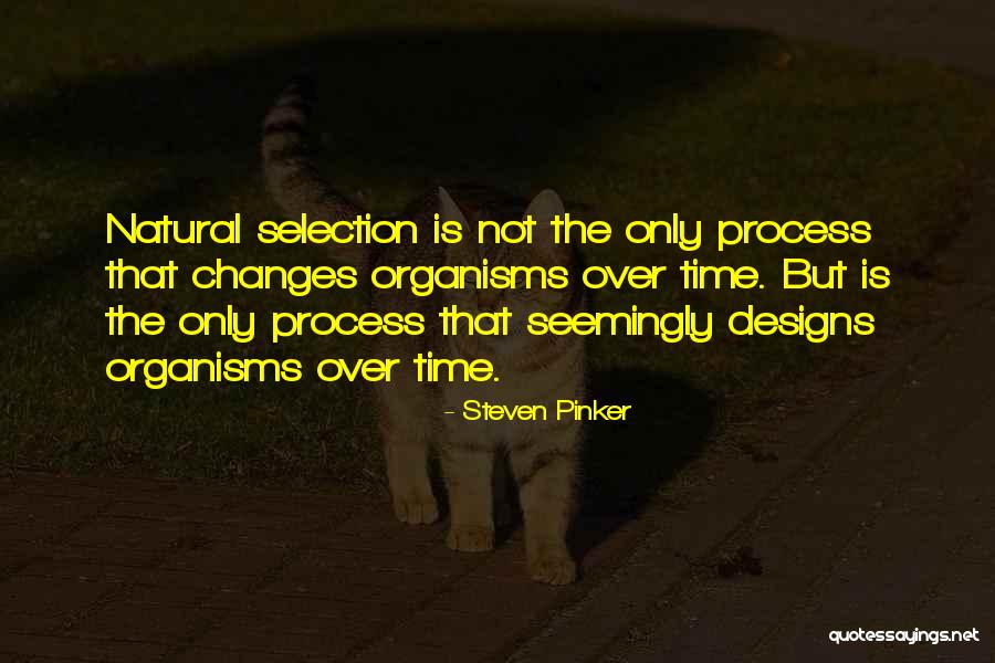 Inheritances And Taxes Quotes By Steven Pinker Inheritances And Taxes Quotes By Steven Pinker