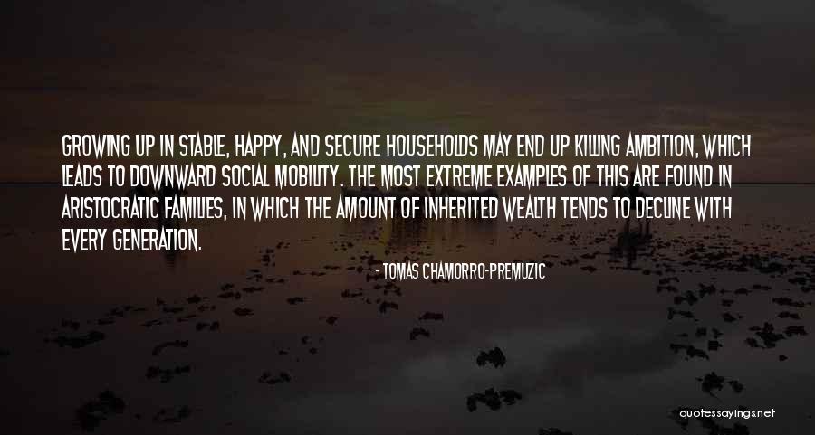 Inherited Wealth Quotes By Tomas Chamorro-Premuzic