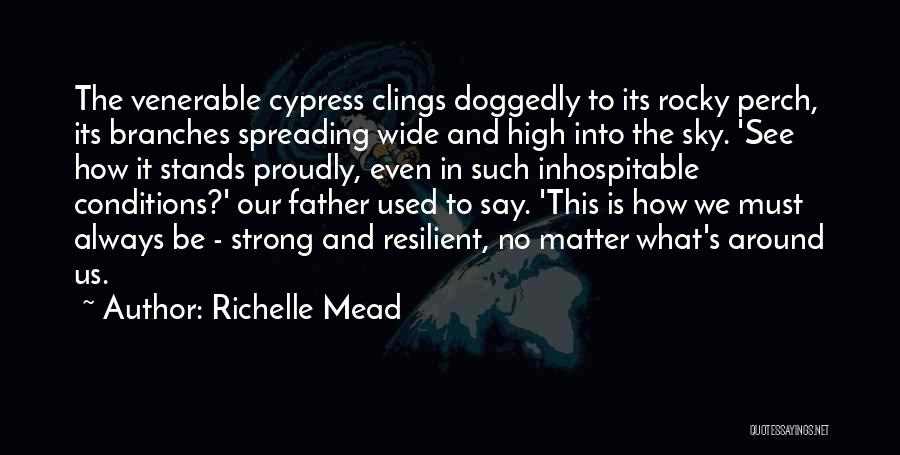 Inhospitable Quotes By Richelle Mead