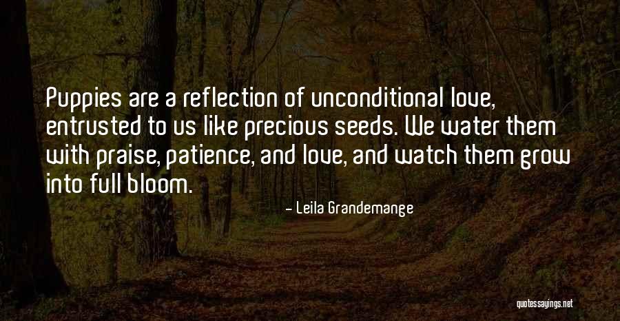 Inhumanities Of Refugees Quotes By Leila Grandemange Inhumanities Of Refugees Quotes By Leila Grandemange