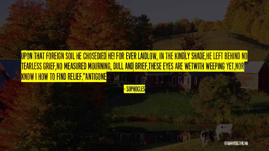 Inhumanities Vhs Quotes By Sophocles Inhumanities Vhs Quotes By Sophocles