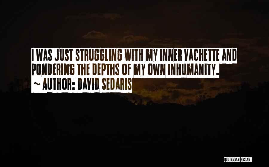 Inhumanity Quotes By David Sedaris