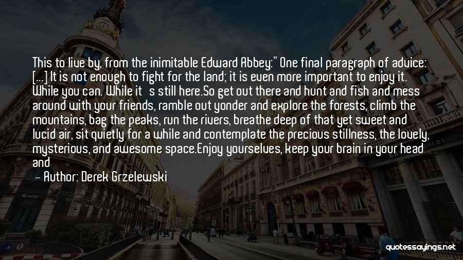Inimitable Quotes By Derek Grzelewski