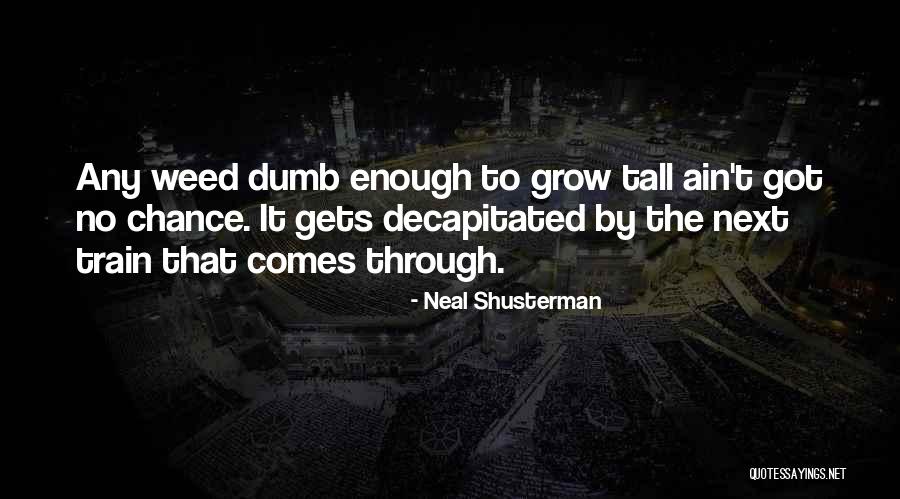 Ininteligibles Quotes By Neal Shusterman Ininteligibles Quotes By Neal Shusterman