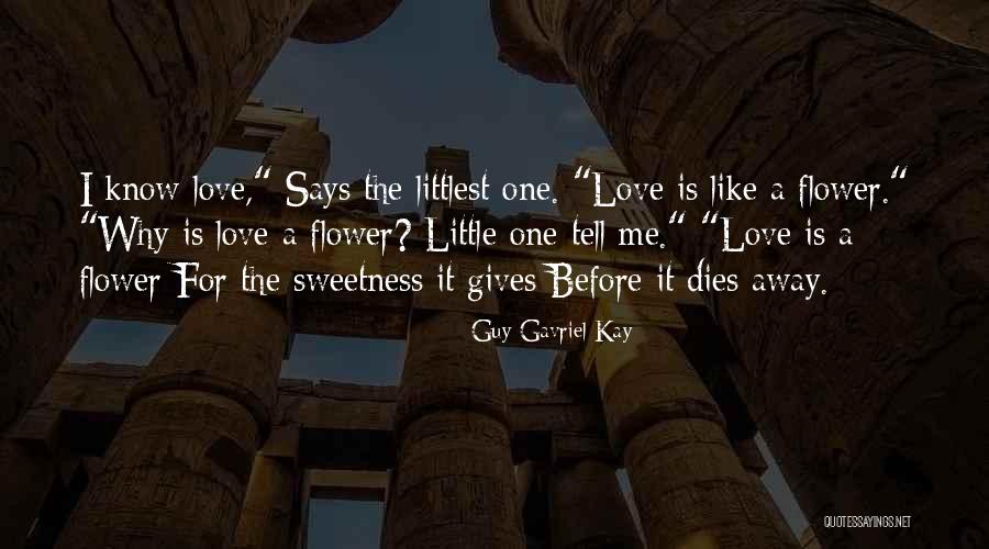 Ininterrupta Significado Quotes By Guy Gavriel Kay Ininterrupta Significado Quotes By Guy Gavriel Kay