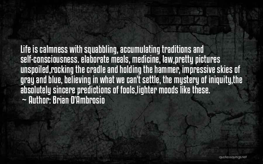 Iniquity Quotes By Brian D'Ambrosio