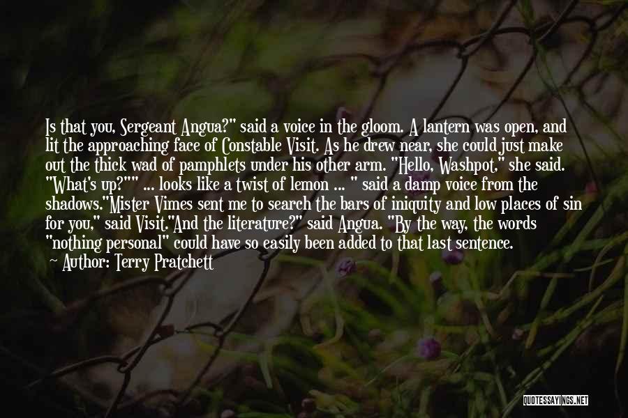 Iniquity Quotes By Terry Pratchett