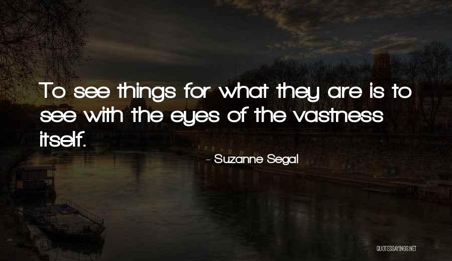 Initiative Attitude Quotes By Suzanne Segal Initiative Attitude Quotes By Suzanne Segal