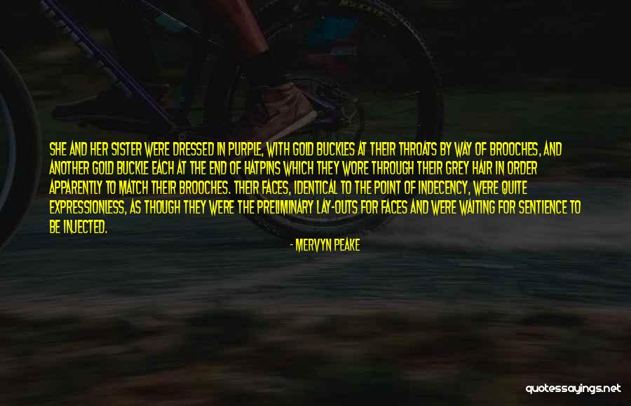 Injected Quotes By Mervyn Peake Injected Quotes By Mervyn Peake