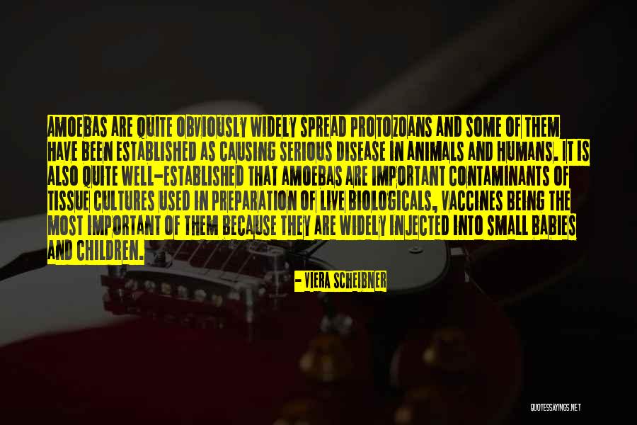 Injected Quotes By Viera Scheibner Injected Quotes By Viera Scheibner